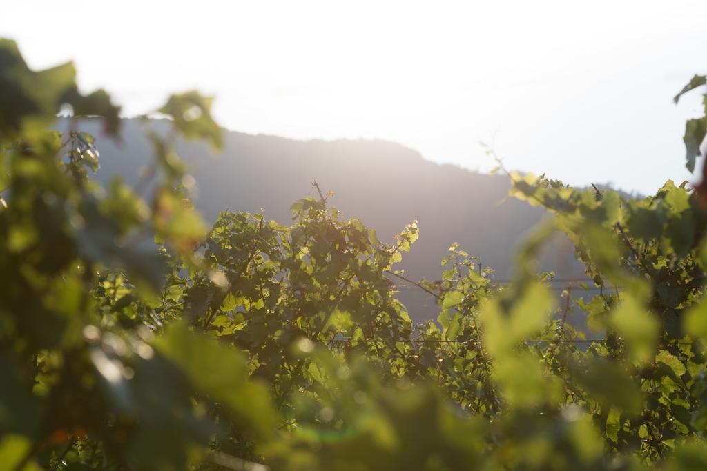 Cascina Clarabella Villa Iseo Eksteriør bilde